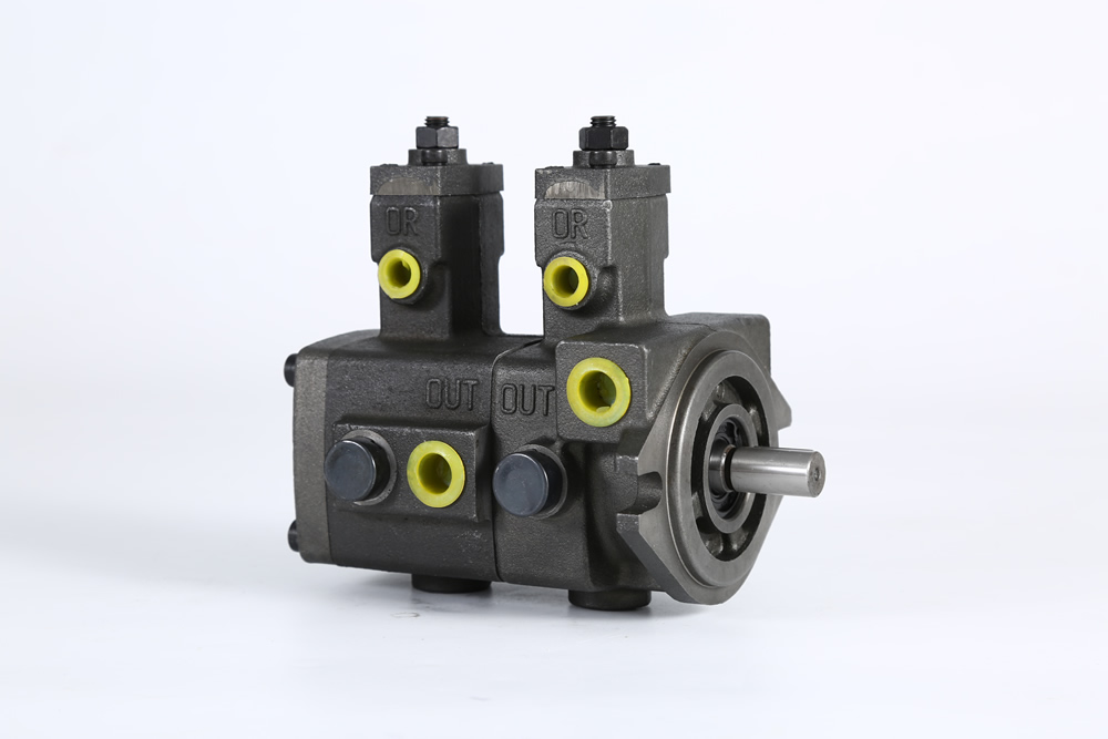 pVP20-20
